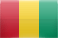 Bandera de Guinea