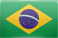 Brazil flag